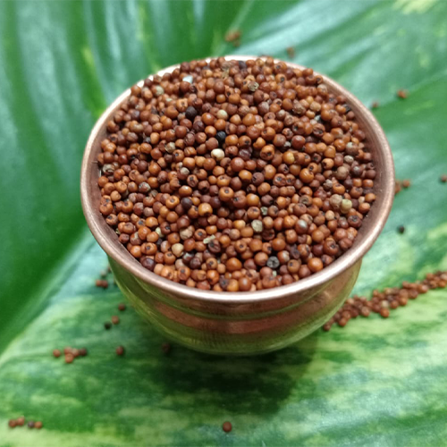 Finger Millet (Ragi / கேழ்வரகு) Whole