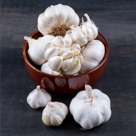 Garlic