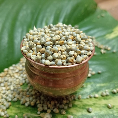 Pearl Millet (கம்பு / Bajra) Whole